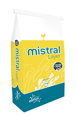 Mistral Layer